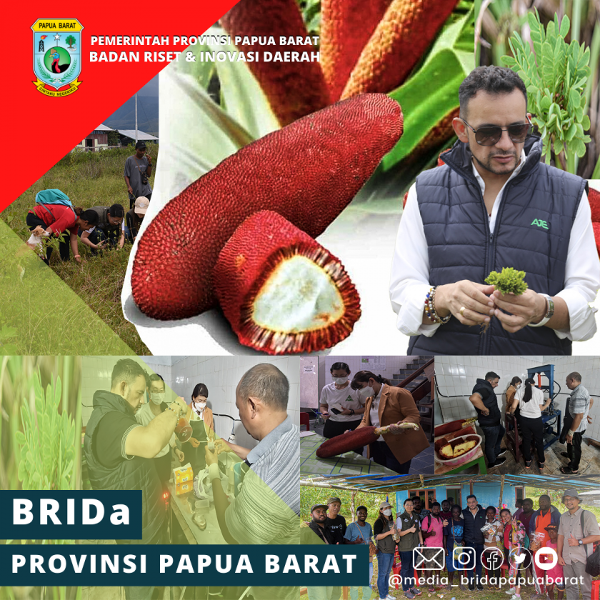 Kunjungi Papua Barat PT. AJE Buka Peluang Pengembangan Industri Dari Tumbuhan Endemik Papua