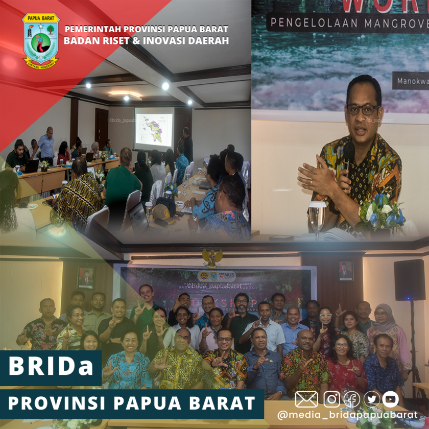 BRIDA BERSAMA MITRA PEMBANGUNAN GELAR WORKSHOP PENGELOLAAN MANGROVE DI PROVINSI PAPUA BARAT
