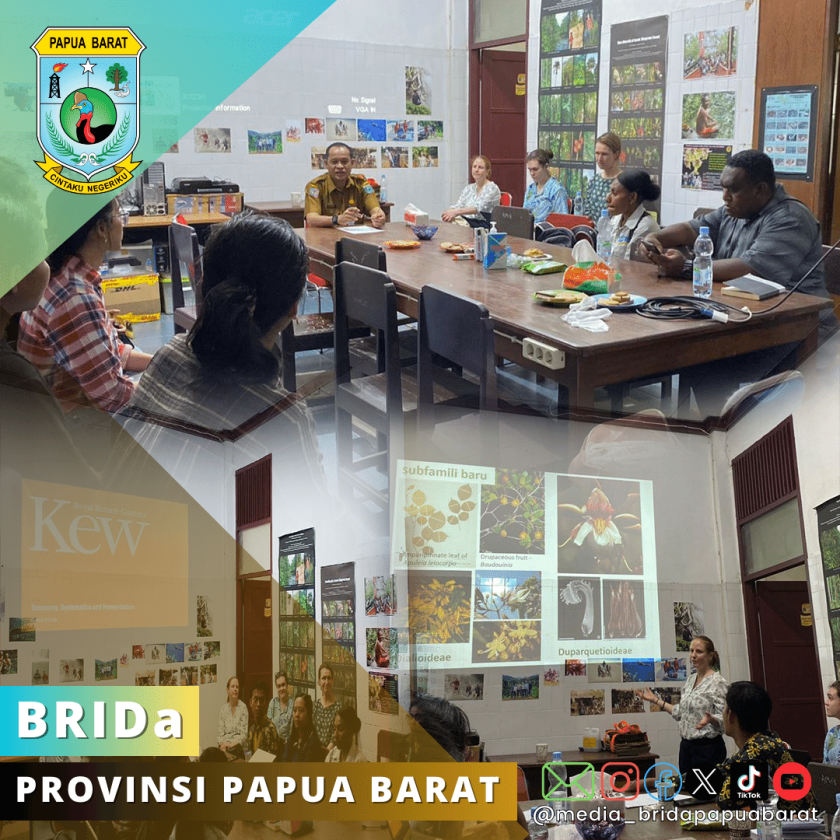 Perkuat Kerjasama, BRIDA , Fahutan UNIPA dan RBG Kew Inggris Laksanakan Pelatihan Bersama